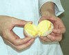 発酵チーズ卵