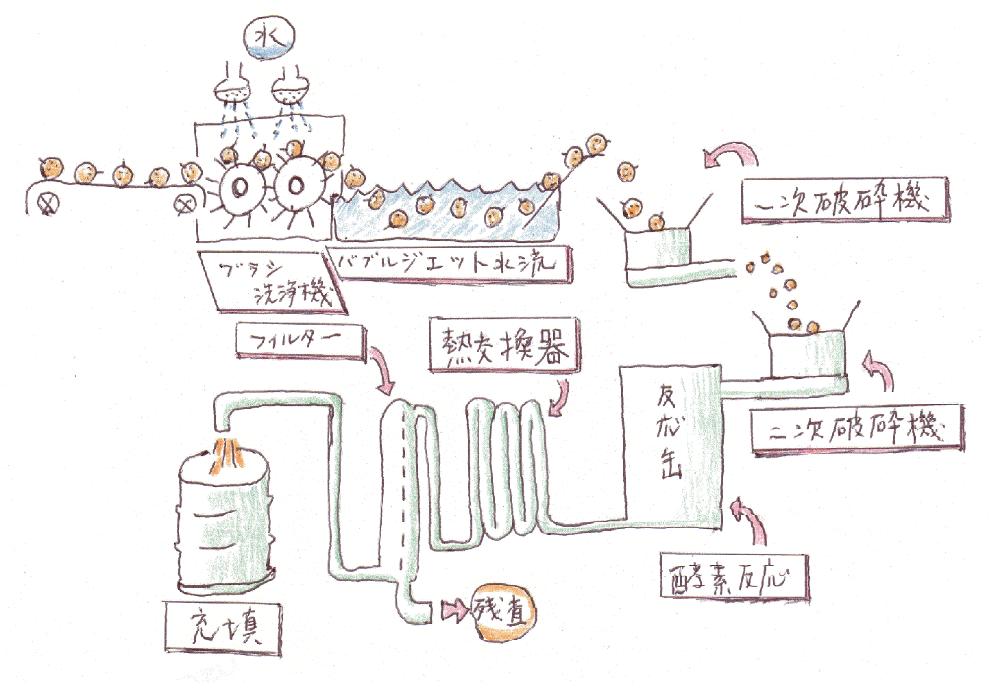 酵素処理工程概略図（温州みかん）